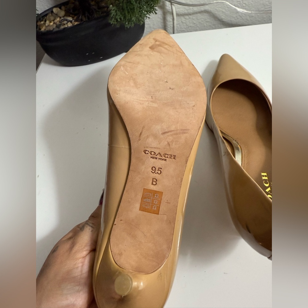 Coach Nude Pointed-Toe Leather Pump - Picture 6 of 7